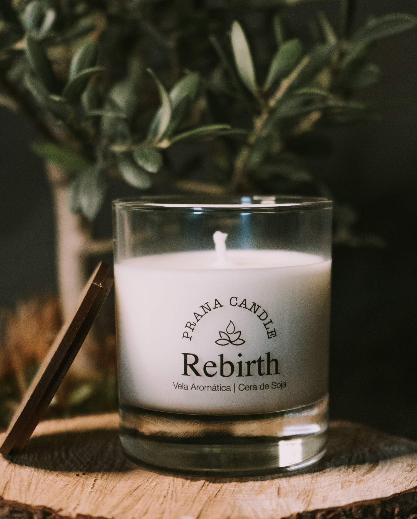 Rebirth