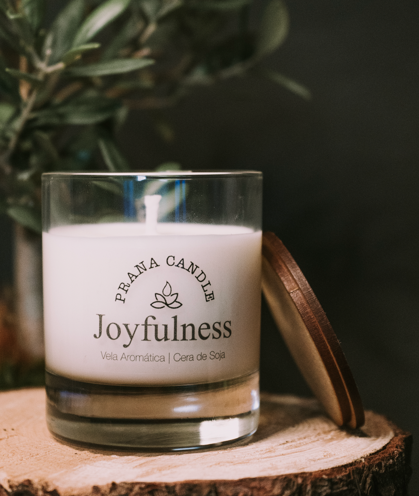 Joyfulness