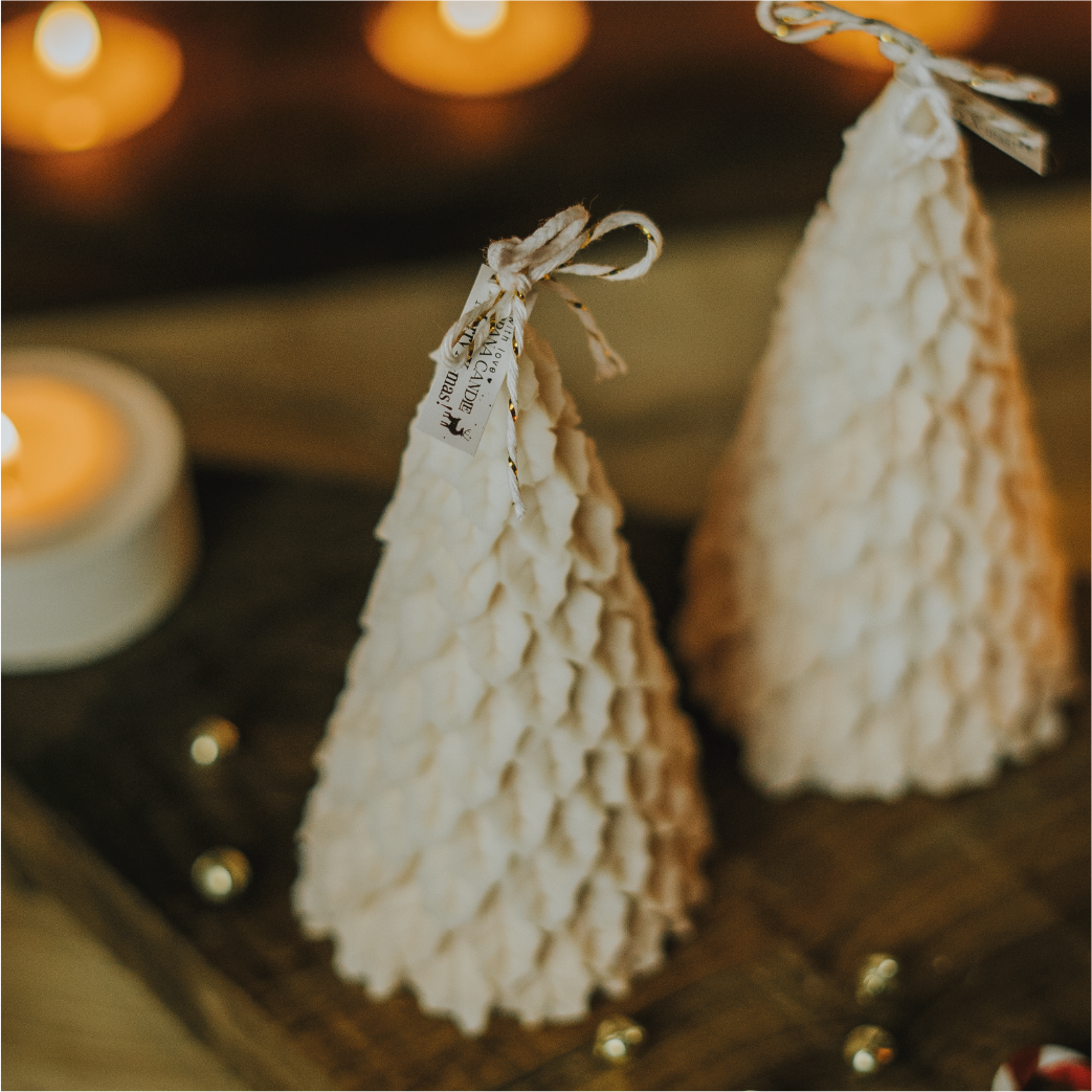 Pinheiro de Natal
