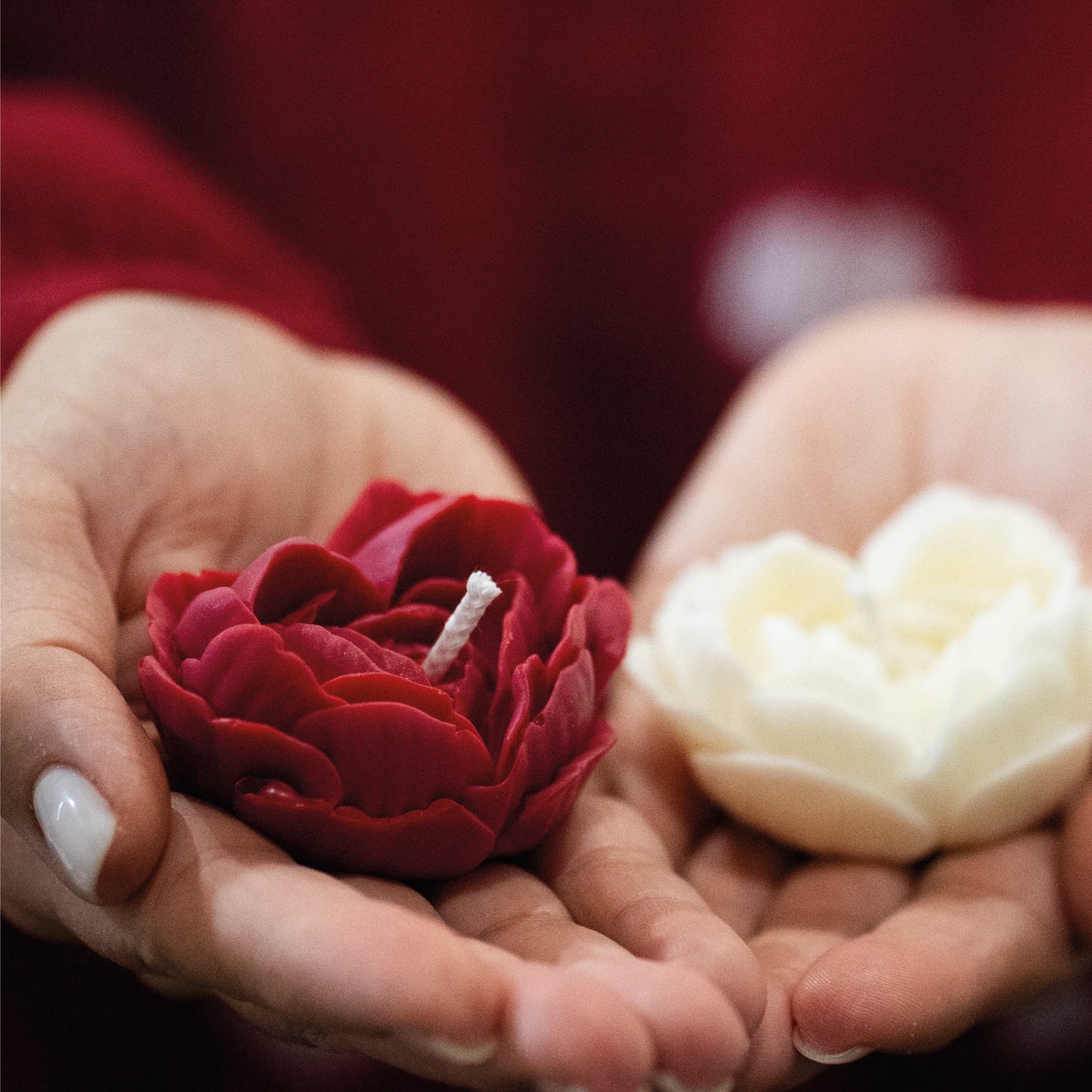 Box Mais Amor Por Favor