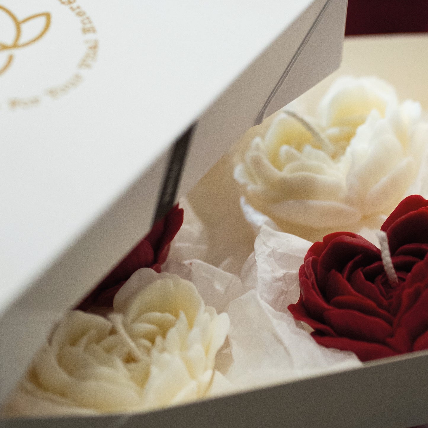 Box Mais Amor Por Favor