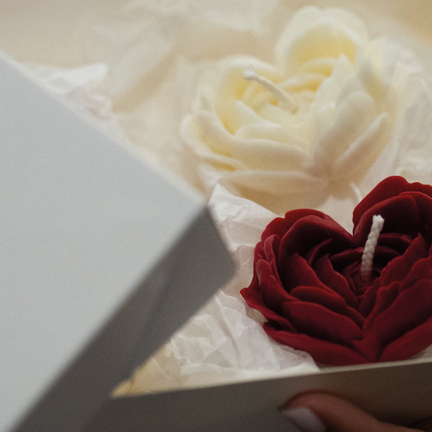 Box Mais Amor Por Favor